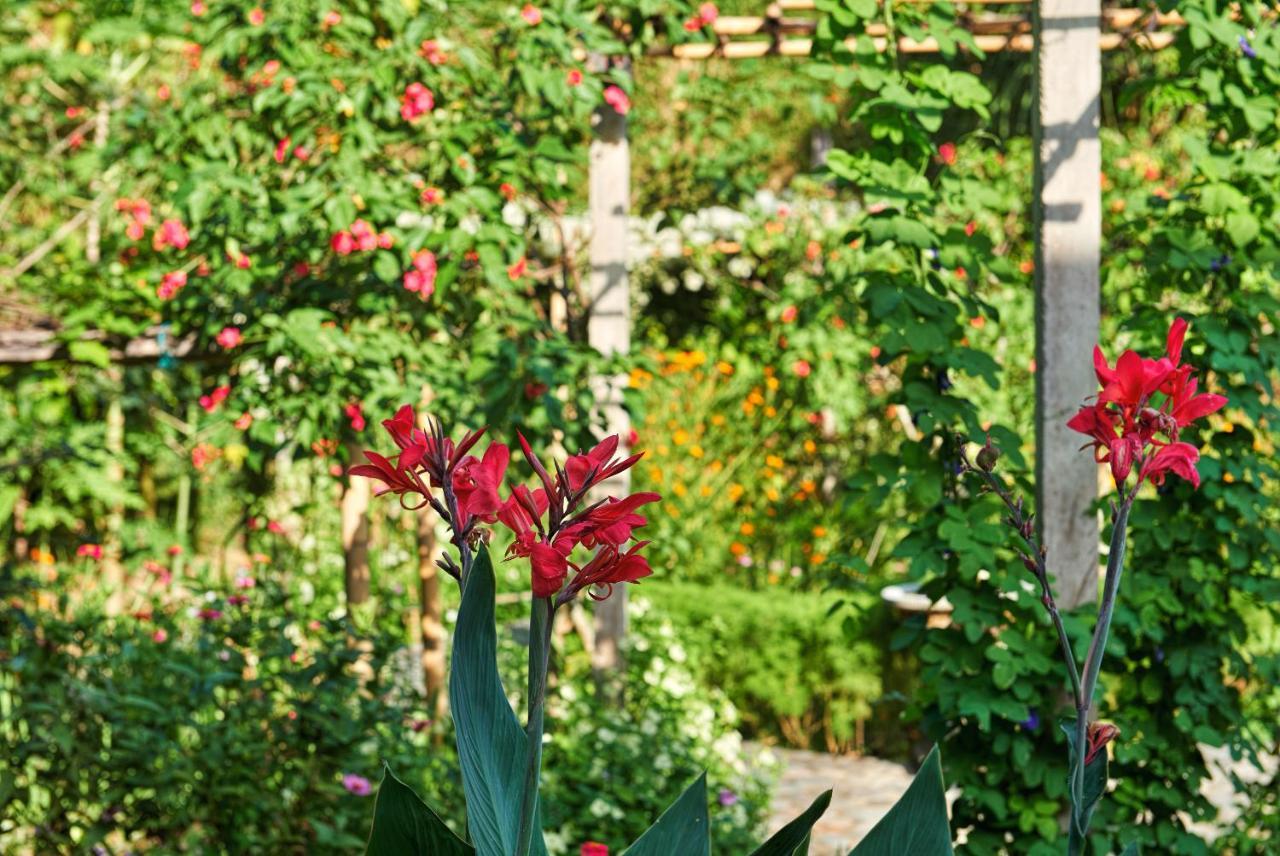 Jasri Bay Hideaway Hotel Eksteriør billede